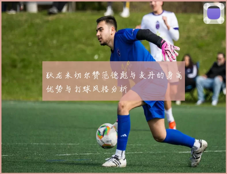 狄龙米切尔赞范德彪与麦丹的身高优势与打球风格分析
